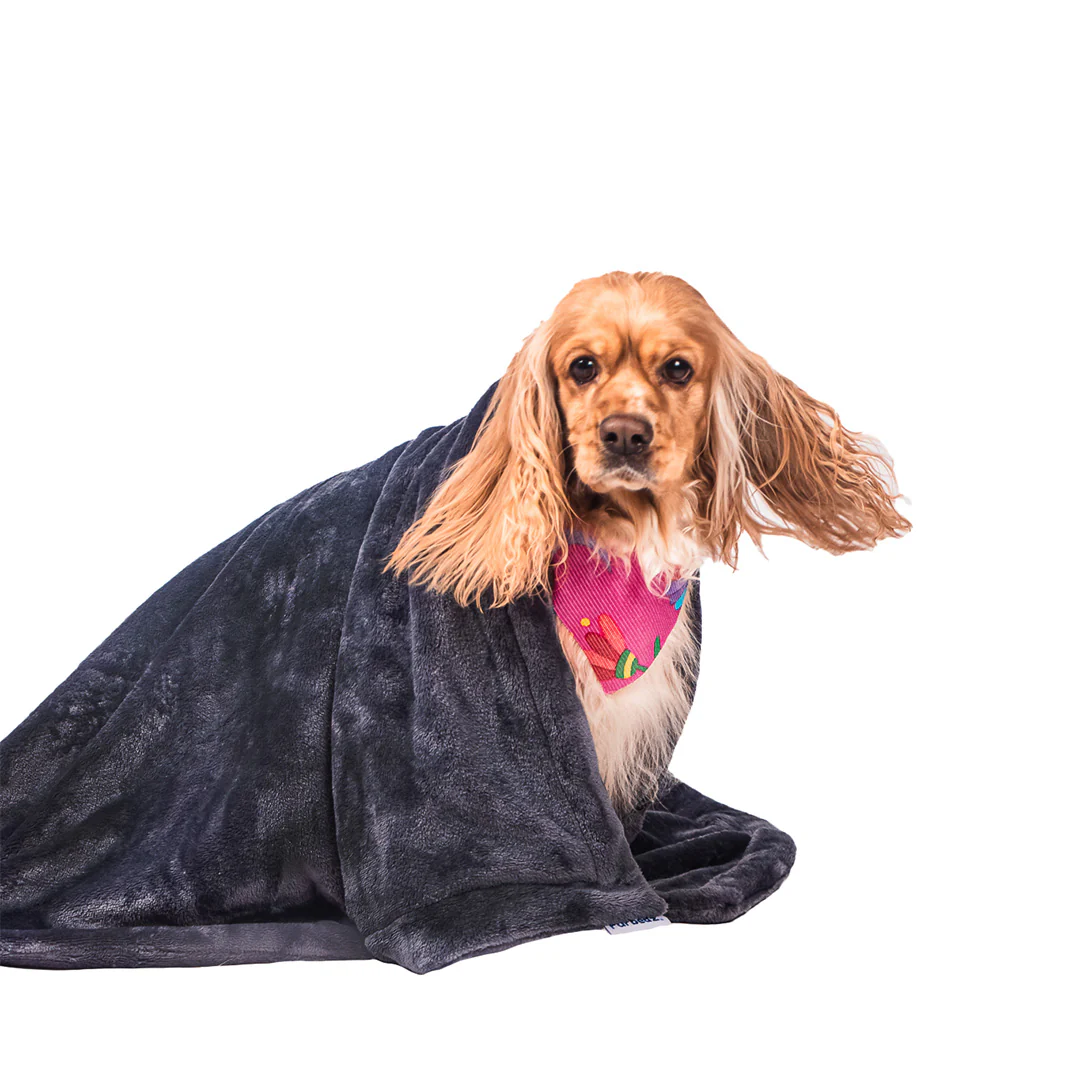 Manta Relajante para Mascotas - Image 10