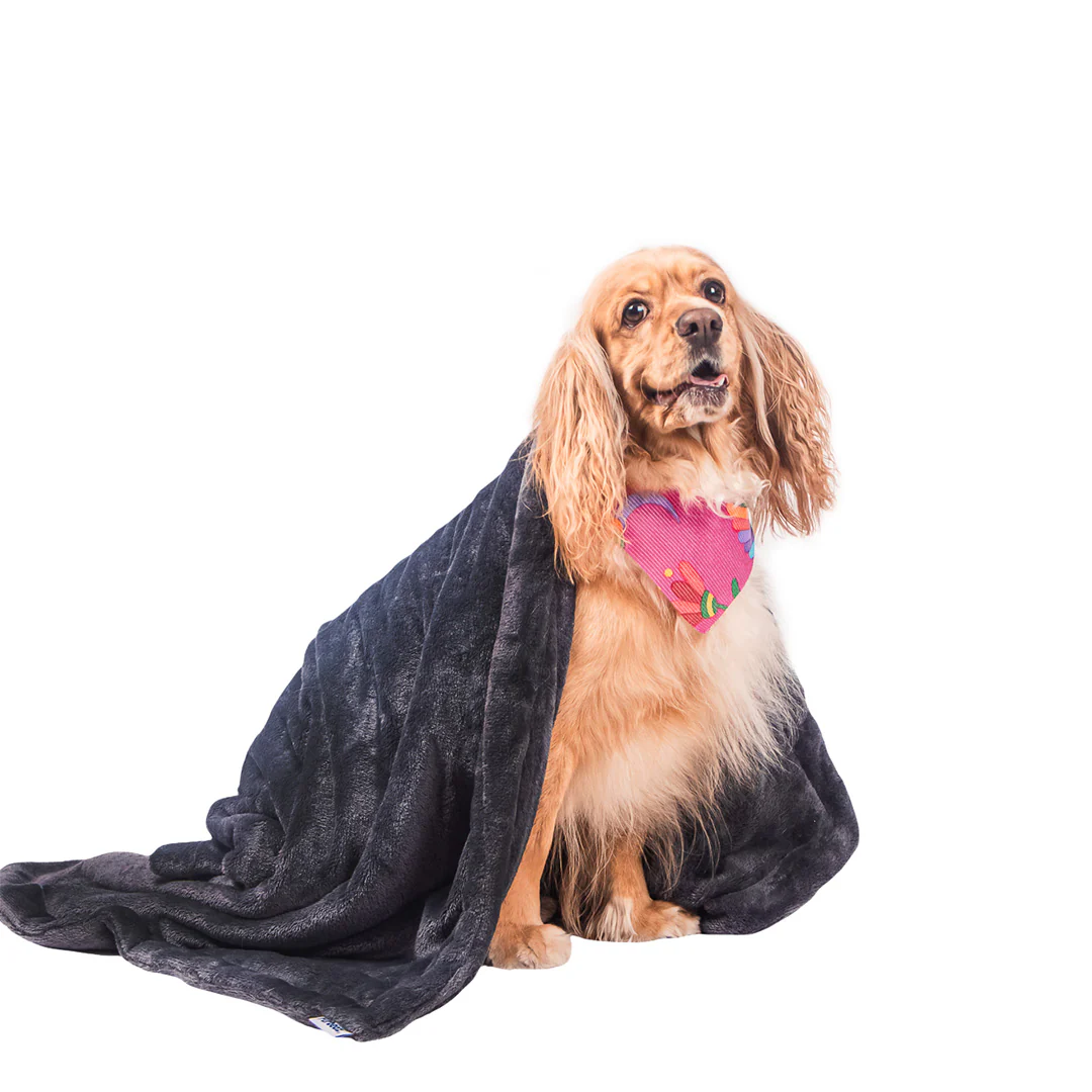 Manta Relajante para Mascotas - Image 11