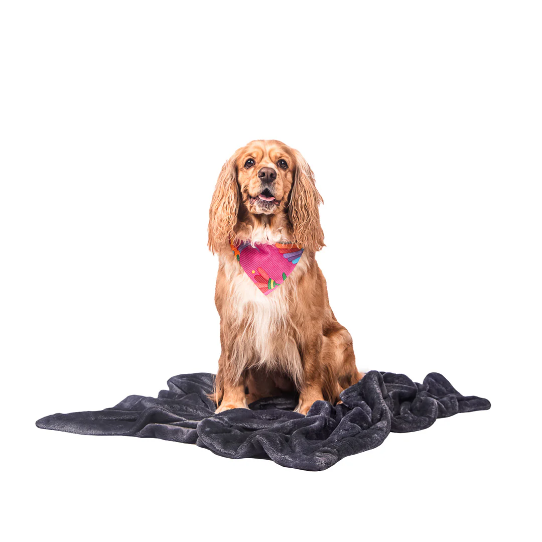 Manta Relajante para Mascotas - Image 9